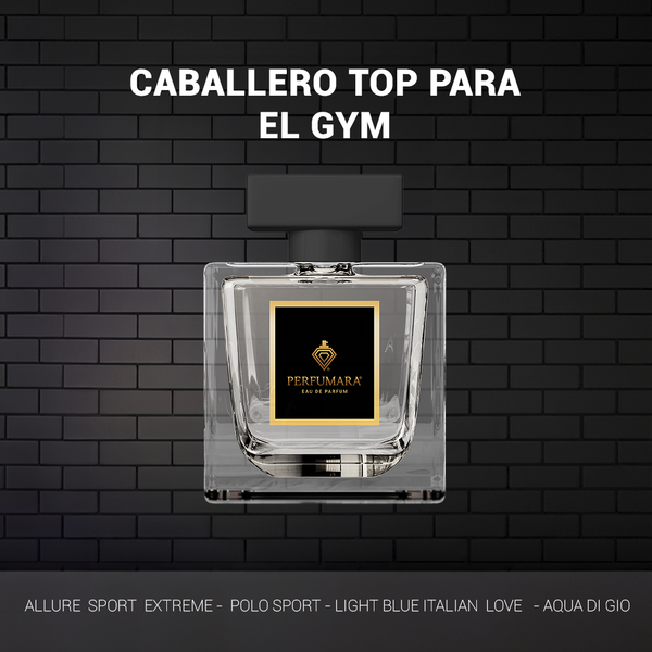 CABALLERO TOP PAL GYM