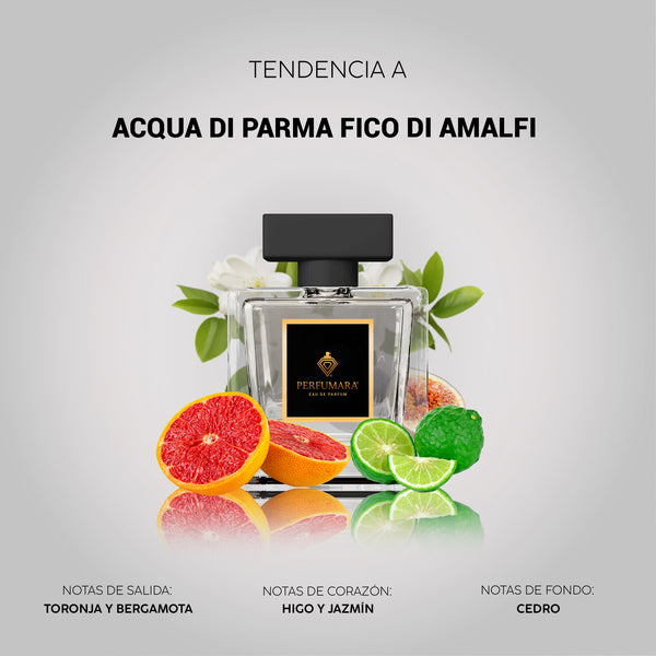 Tendencia a UAcqua di Parma Colonia