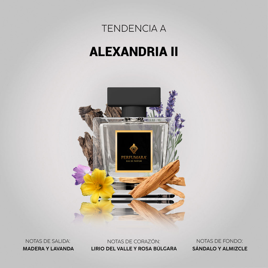 Tendencia a UAlexandria II