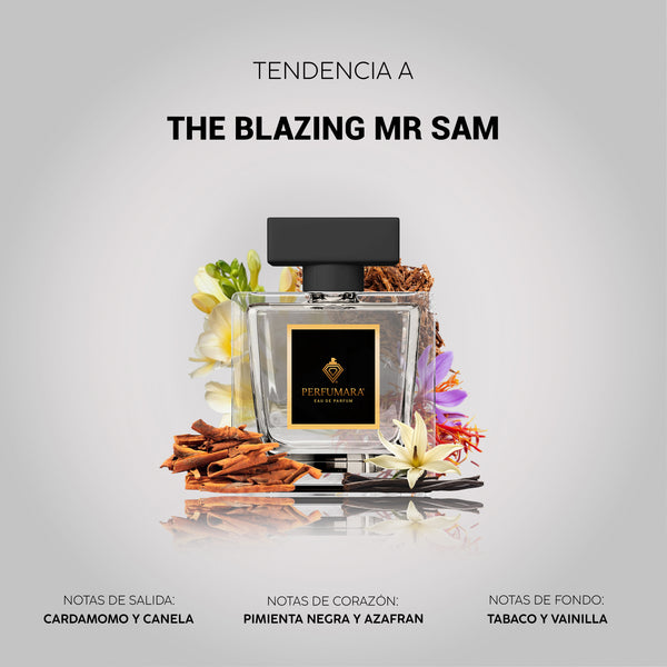 Tendencia a CThe Blazing Mr Sam