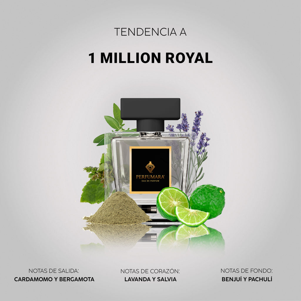 Tendencia a C1 Million Royal