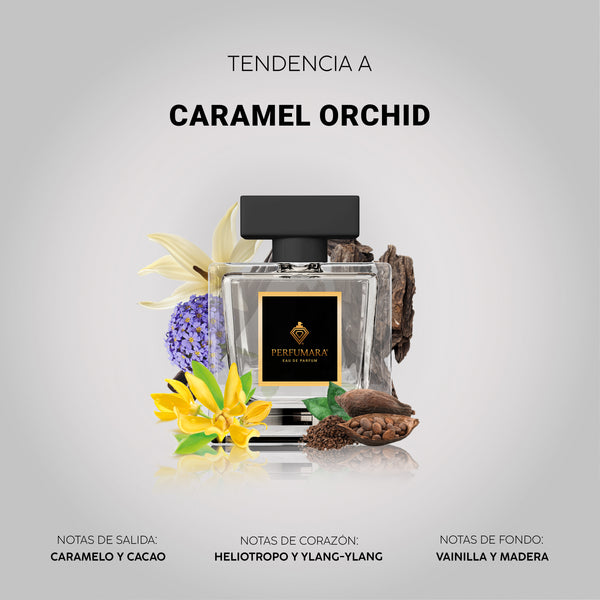 Tendencia  a UCaramel Orchid