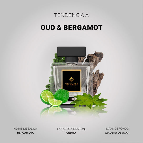 Tendencia a UOud & Bergamot