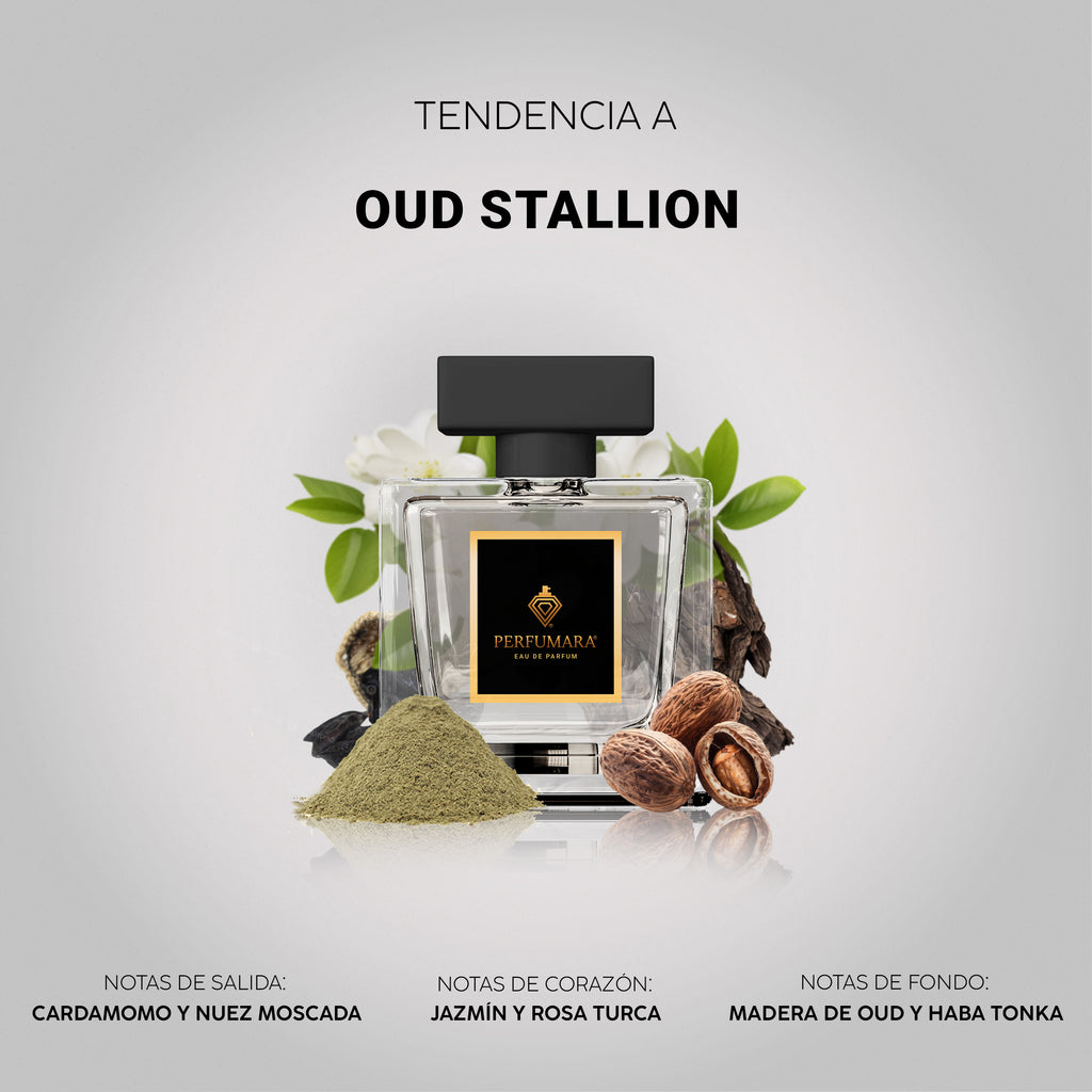 Tendencia  a COud Stallion