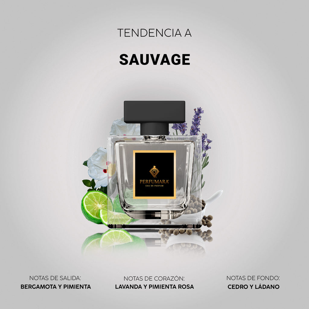 Tendencia a CSauvage