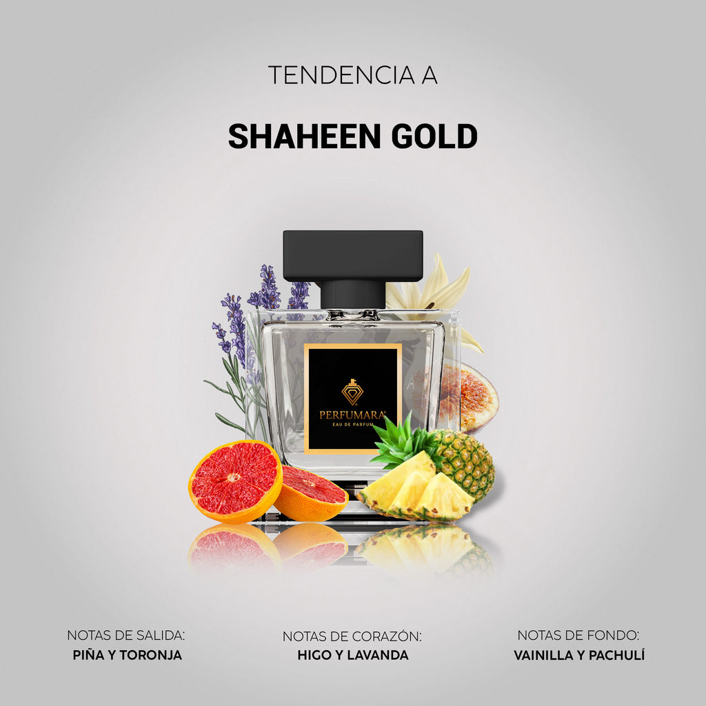 Tendencia a UShaheen Gold