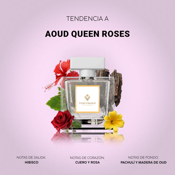 Tendencia a DAoud Queen Roses