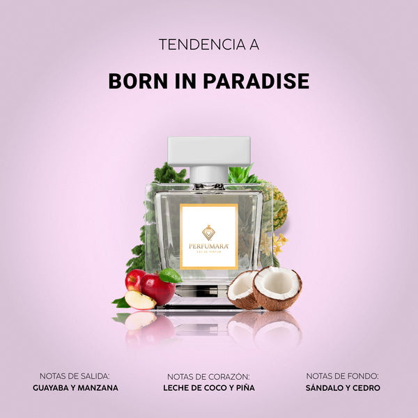 Tendencia a DBorn in Paradise