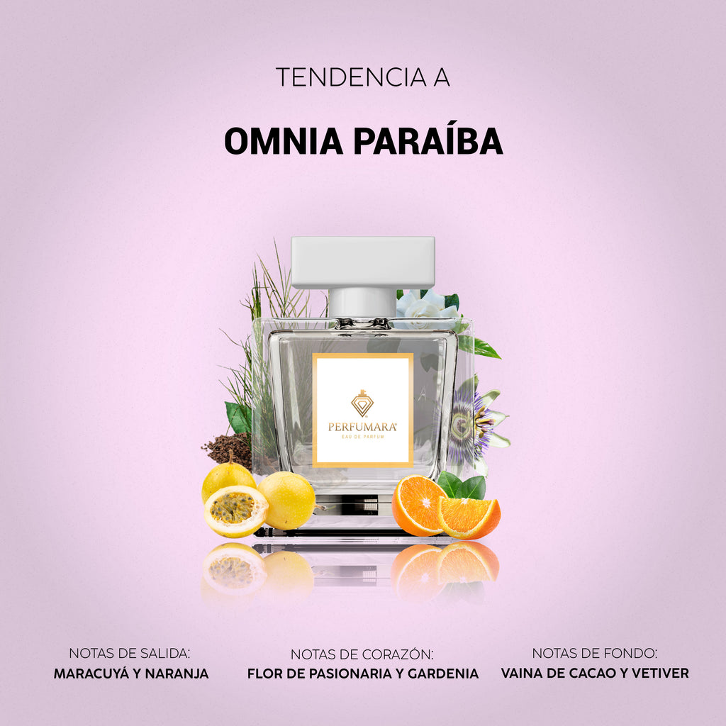 Tendencia a DOmnia Paraiba