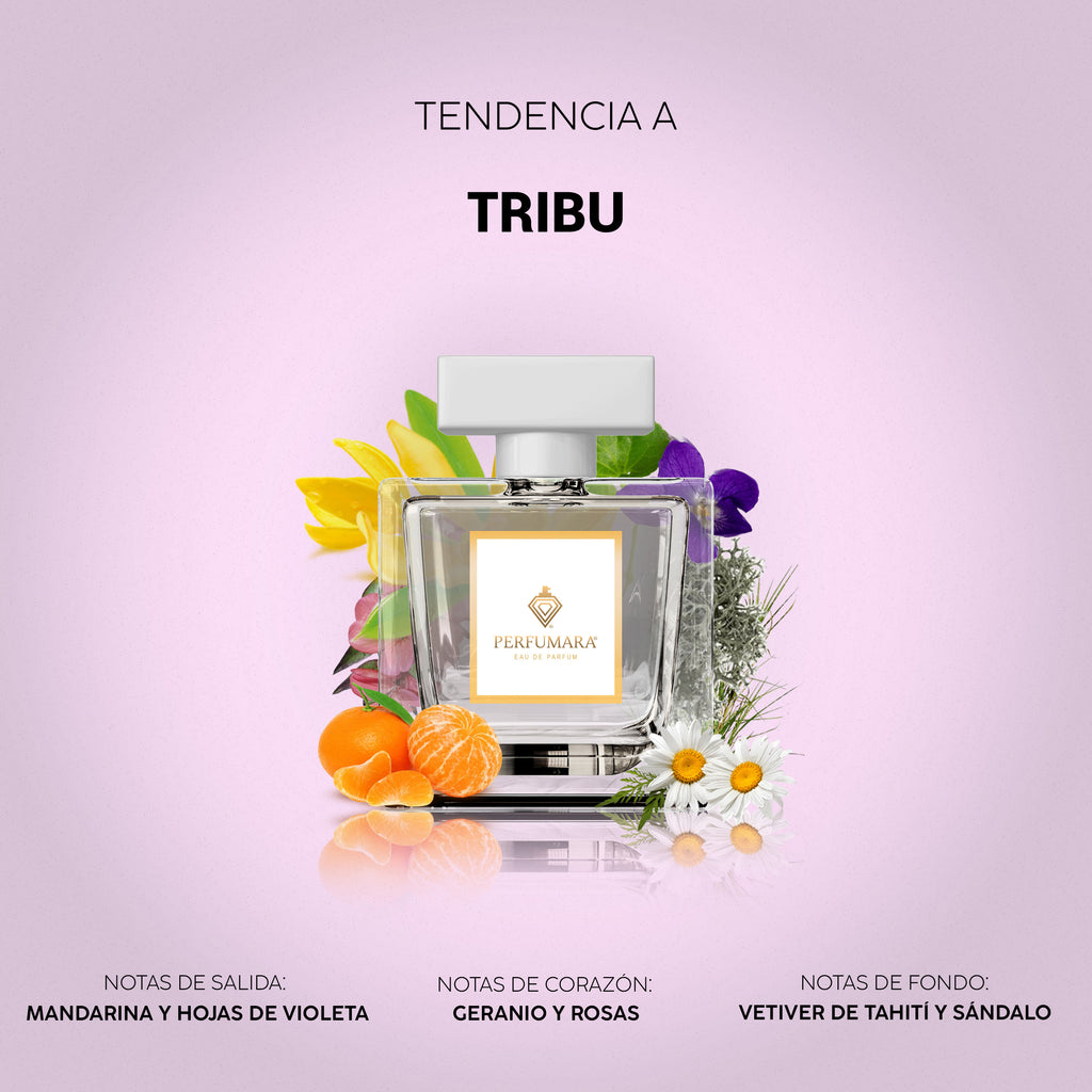 Tendencia a DTribu