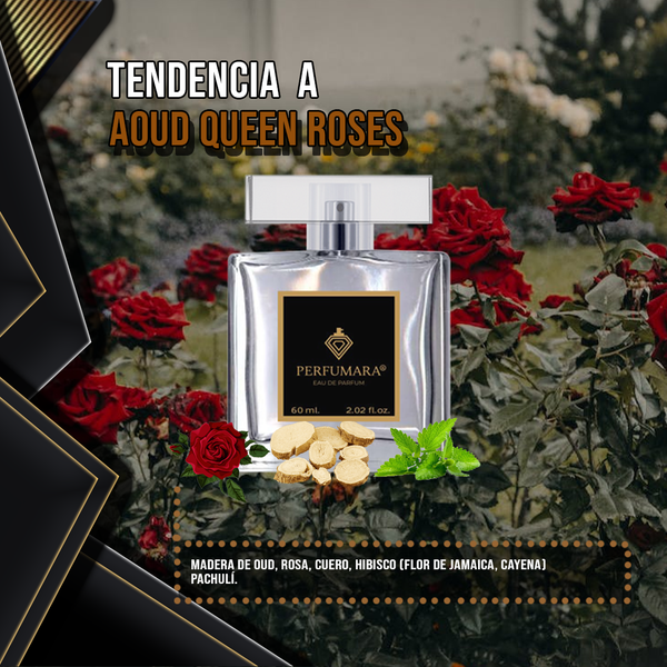 Tendencia a DAoud Queen Roses