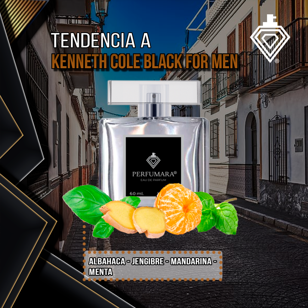 Tendencia a CKenneth Cole Black For Men